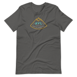 Grey asheville t-shirt with AVL logo. So unbelievably cool.