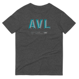 Grey t-shirt with "AVL" and Asheville statistics printed on it.